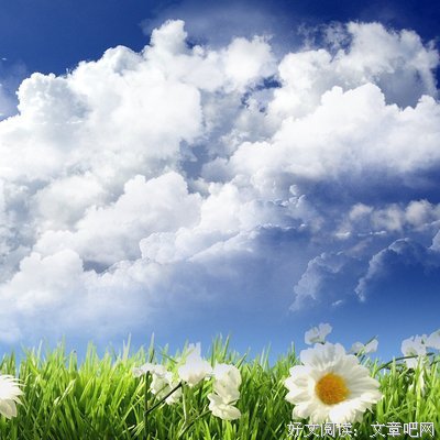 《暗数杀人》观后感10篇