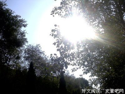 的开样和也毛好词好句