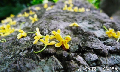 怎么说~的优美句子