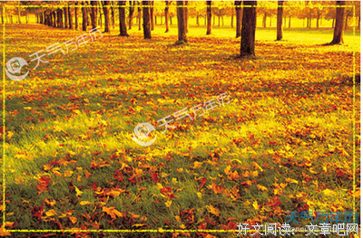 待雨落尽~琴弦已断句子大全