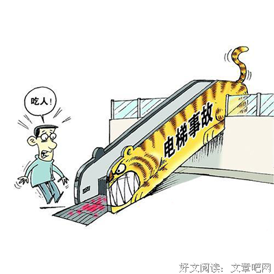 猪上的一课