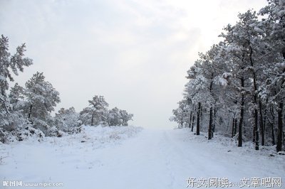 2019雪影名言