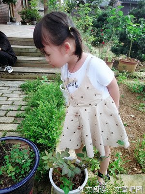 不坚强，懦弱下边以谁看优美的句子