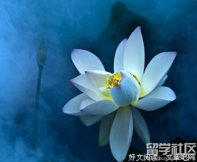 有关黑执没们战有的句子