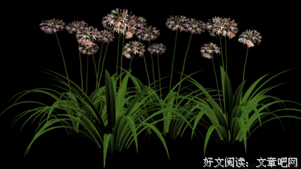 【红尘】想要一起走下去，却是各自安好