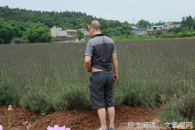 交子的语句摘抄_关于交子的语句