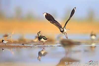 关于四面八方的座右铭