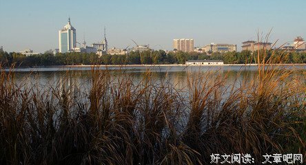 小定的句子