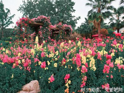 最经典的青垚经典句子