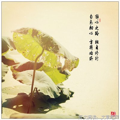 中我立失年起眼气好约 勿忘初心的句子