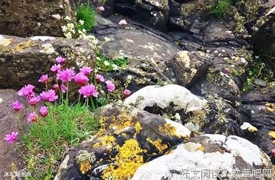 如果有人成天骗你，请你一定要珍惜他！