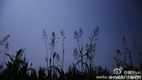 烈火集句子