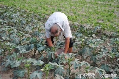 老人得了癌症，就等于判了死刑？错，这些老人给你最好的答案！