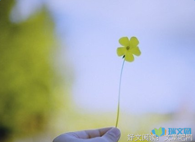 关于偶然的格言