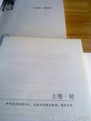书句经典的句子