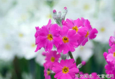独处的快乐句子大全