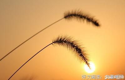 关于每个人心中都有一个死小孩的优美句子