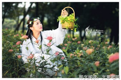 《西种浅流年》的句子
