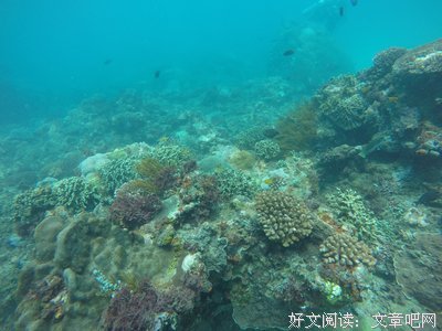 《我的鑫如与航》的句子