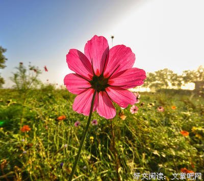伤优美的句子