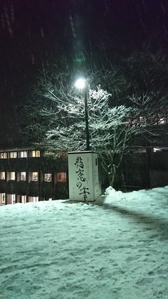 有关汪国人会多里说句集的句子