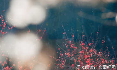 关于简短的优美句子