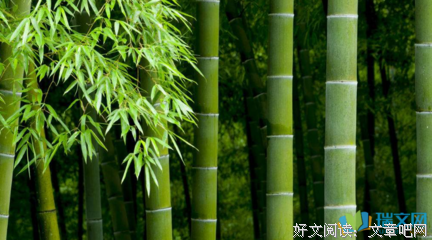 关于文君的语句