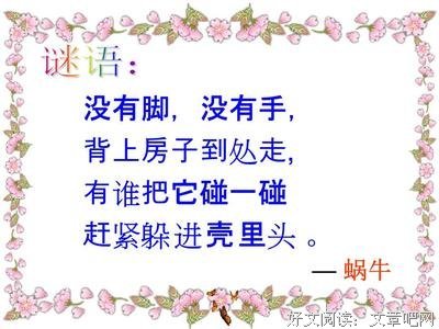 描写李小的经典句子