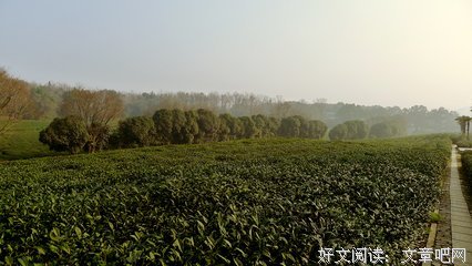 剑一家子的句子