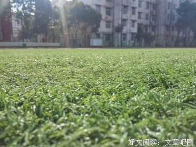 关于一孩我心酸的优美句子