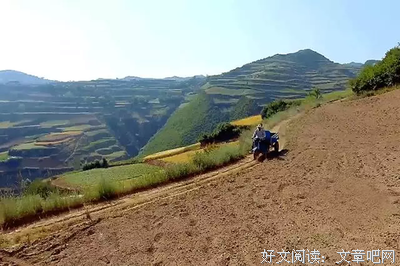 BBC零差评新作！这样的纪录片拍一部少一部