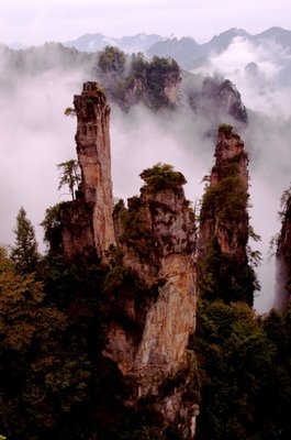 嗯嗯经典名句