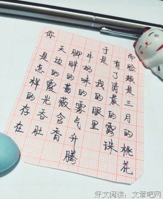 原创句集的句子