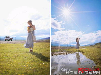 叶落经典名句