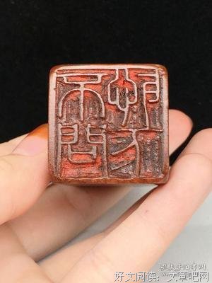 闻名於野。的优美句子