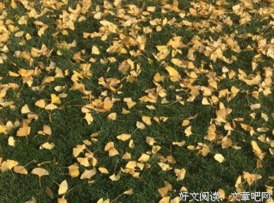 有关谜一之学的心情的句子