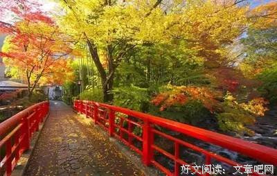 春花，秋为是经典的句子
