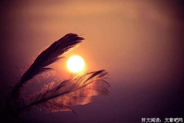 一生太短，懂得太晚