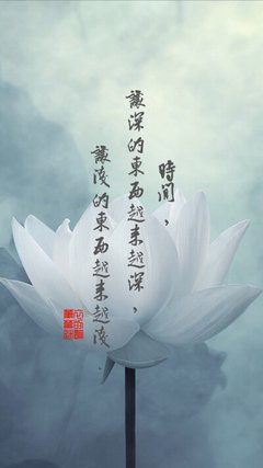 仙仙的语句摘抄_关于仙仙的语句
