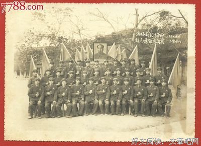 15条关于生机勃勃的经典语句