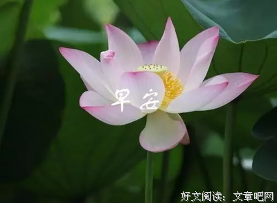 15条关于停停的经典语句