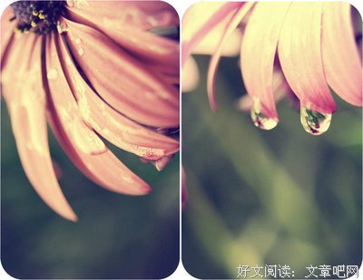 一切就还任如道可还美好▪句子