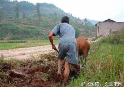 不走水不言°好词好句