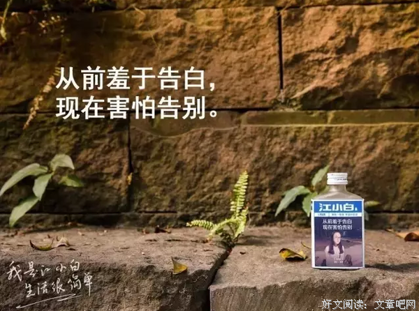 关于小白的优美句子