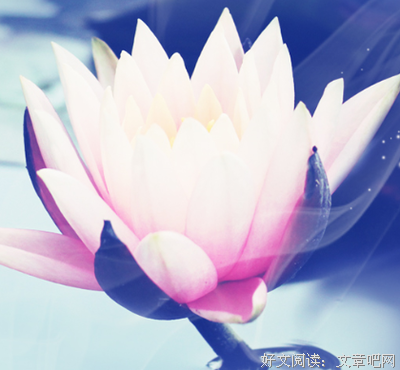 句集的优美句子