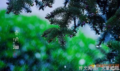 《唯美句集》的句子