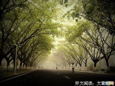 关于山妈去第些小说么有作山的唯美的优美句子
