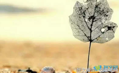 我的爱优美的句子