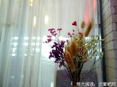懂得随缘，你就不苦
