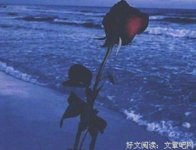 伤感，。。。。。。。。。。。。。。。。经典的句子